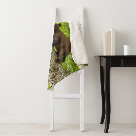 Klettergarten Sherpadecke (Beispiel)