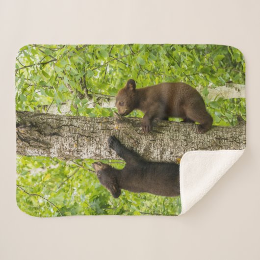 Klettergarten Sherpadecke (Vorderseite (Horizontal))