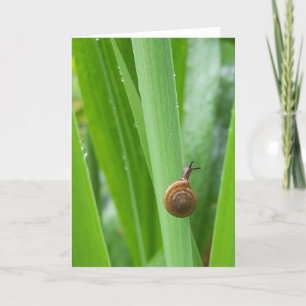 Klettergarten Snail Karte