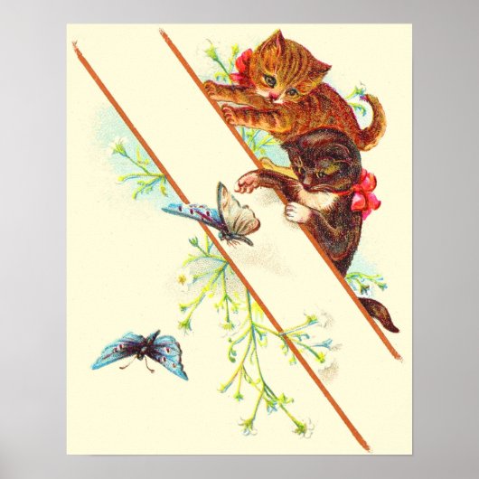Kletterkätzchen und Schmetterlinge Poster (Vorne)