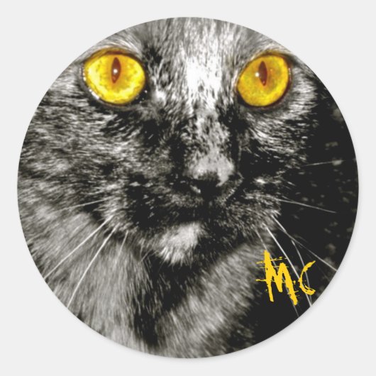 Kletterkatzenaufkleber Runder Aufkleber (Vorderseite)