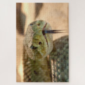 Kletterklatschschlange Puzzle (Vertikal)