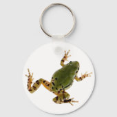 Klettern Arizona Baum Froschfoto über Weiß Schlüsselanhänger (Vorderseite)