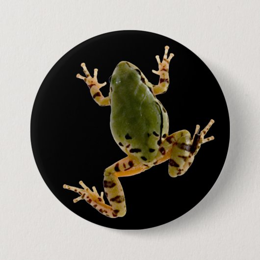 Klettern Arizona Tree Frog Fotografie Button (Vorderseite)
