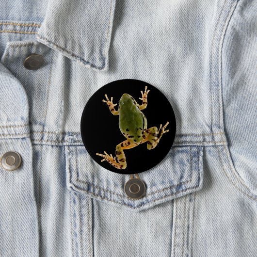 Klettern Arizona Tree Frog Fotografie Button (Beispiel)