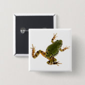Klettern Arizona Tree Frog Fotografie Button (Vorne & Hinten)