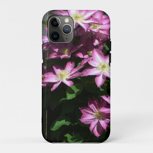 Klettern Clematis Lila Frühlingsblumen Case-Mate iPhone Hülle (Rückseite)