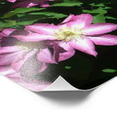 Klettern Clematis Lila Frühlingsblumen Fotodruck (Ecke)