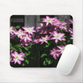 Klettern Clematis Lila Frühlingsblumen Mousepad (Mit Mouse)