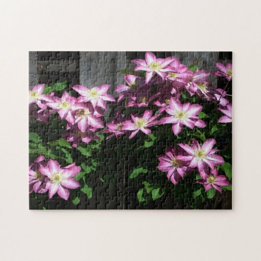 Klettern Clematis Lila Frühlingsblumen Puzzle (Horizontal)