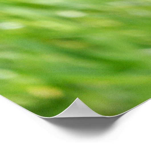 Klettern Orangutan Baby Poster (Ecke)