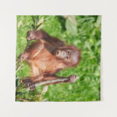 Klettern Orangutan Baby Wandteppich (Vorderseite (Horizontal))