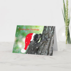 Klettern Raccoon Weihnachtskarte Feiertagskarte