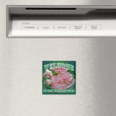 Klettern Rose Willkommen im Nachbarschaftsmagnet Magnet (In Situ (Geschirrspüler))