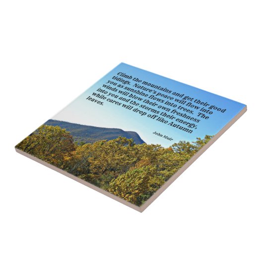 Klettern Sie die Berge und holen Sie sich.... Fliese (Seite)