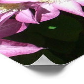 Kletternde Clematis lila Frühlingsblumen Poster (Ecke)