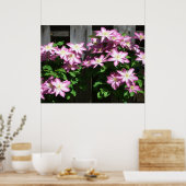 Kletternde Clematis lila Frühlingsblumen Poster (Küche)
