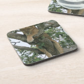 Kletternde Löwin des Baums (Panthera Löwe), Untersetzer (Linke Seite)