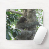Kletternde Trägheits-Mausunterlage Mousepad (Mit Mouse)