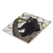 Kletternder schwarzer Bär Fliese (Seite)