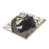 Kletternder schwarzer Bär Fliese (Seite)