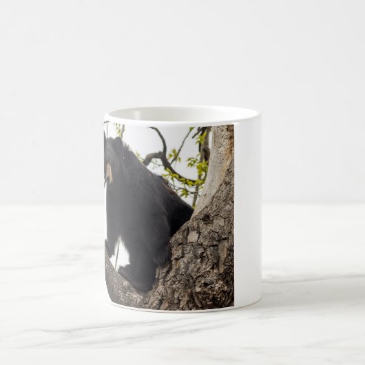 Kletternder schwarzer Bär Kaffeetasse (Mittel)