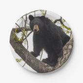 Kletternder schwarzer Bär Pappteller (Vorderseite)