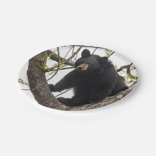 Kletternder schwarzer Bär Pappteller (Schrägansicht)