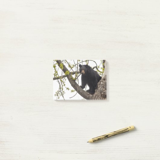 Kletternder schwarzer Bär Post-it Klebezettel (Auf Schreibtisch)