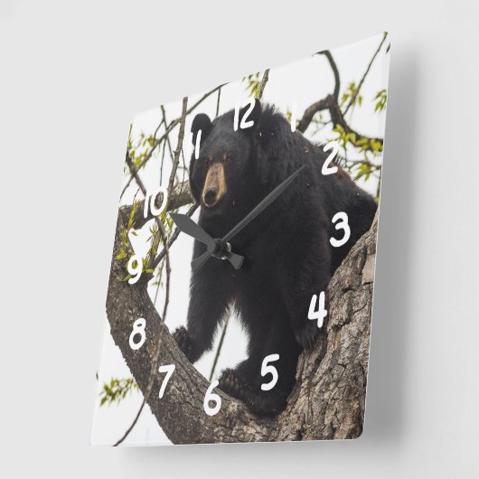 Kletternder schwarzer Bär Quadratische Wanduhr (Winkel)