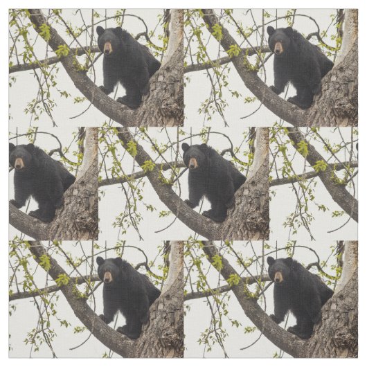 Kletternder schwarzer Bär Stoff (Muster)