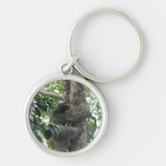 Kletternder Sloth-Schlüsselanhänger Schlüsselanhänger (Vorne)