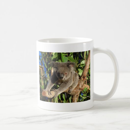 Kletterndes Koala.jpg Kaffeetasse (Rechts)