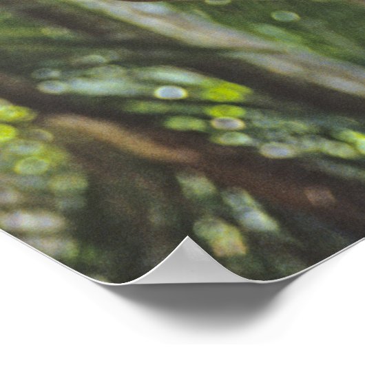 Kletterpflanzen. Poster (Ecke)