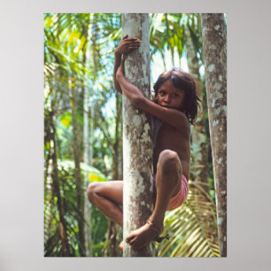 Kletterpflanzen. Poster