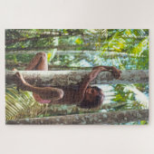 Kletterpflanzen. Puzzle (Horizontal)