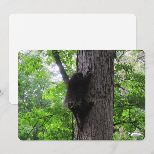 Klettersteig Holiday Card Feiertagskarte (Vorne/Hinten)