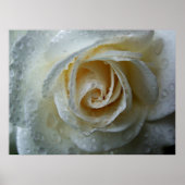 Klettersteig Iceberg Rosa Poster (Vorne)