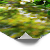 Klettersteig Ivy Poster (Ecke)