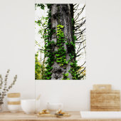 Klettersteig Ivy Poster (Küche)