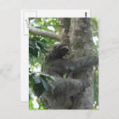 Klettersteig Postkarte (Vorne/Hinten)