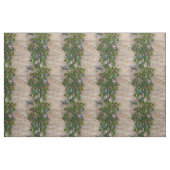 Klettersteige, Honigsuckles & Brillenwand Stoff (Fat Quarter (45,7 x 55,9 cm))