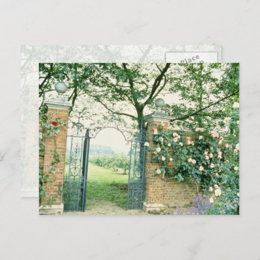 Klettersteige Rose neben der Blume aus Schmiedeeis Postkarte (Vorne/Hinten)