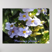 Klettervormittagsgläser Poster (Vorne)