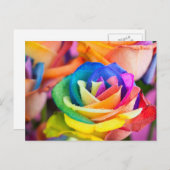 kleuren bloem postkarte (Vorne/Hinten)