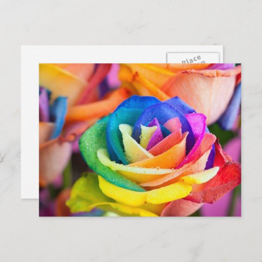 kleuren bloem postkarte (Vorne/Hinten)