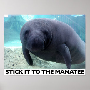 KLICKEN SIE AUF DAS MANATEE-Plakat Poster