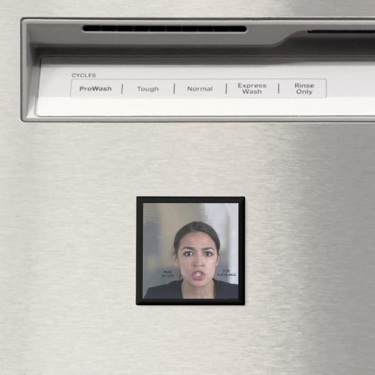 KLIMAÄNDERUNGEN MAGNET (In Situ (Geschirrspüler))