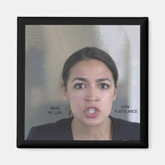 KLIMAÄNDERUNGEN MAGNET (Vorne)