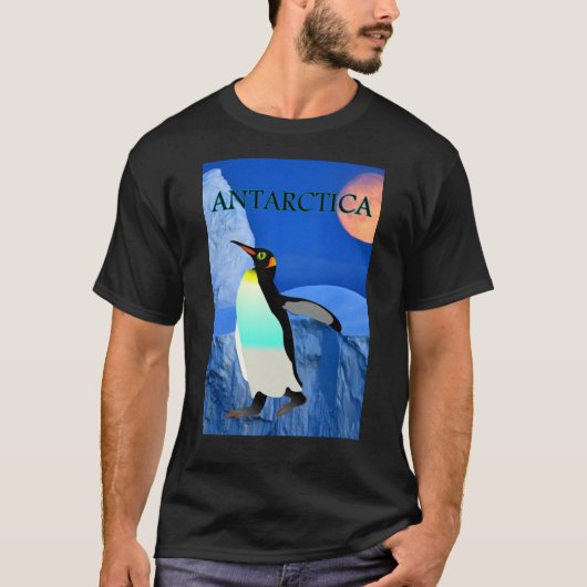 Klimawandel Antarktis Gletscherpinguin und Mond T-Shirt (Vorderseite)